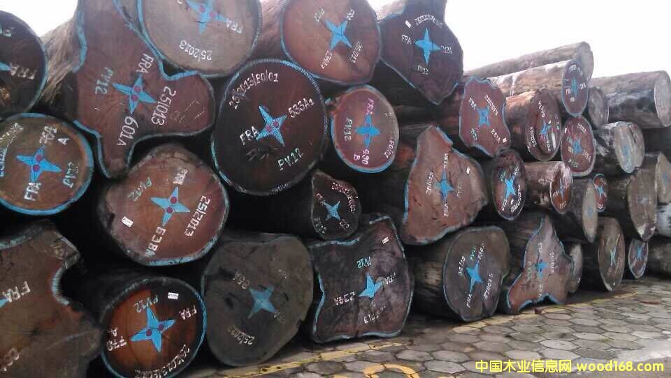 沙比利的詳細(xì)介紹