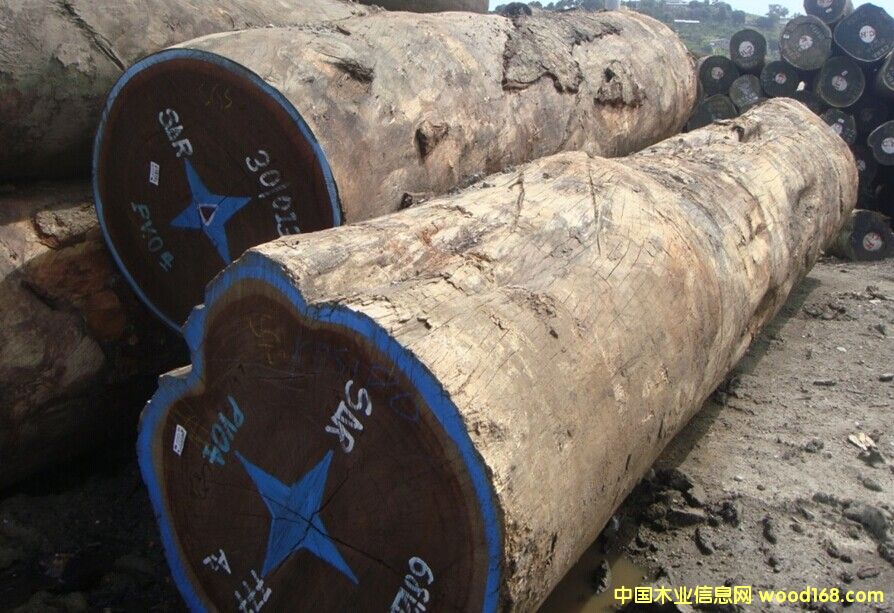 科西普的詳細(xì)介紹