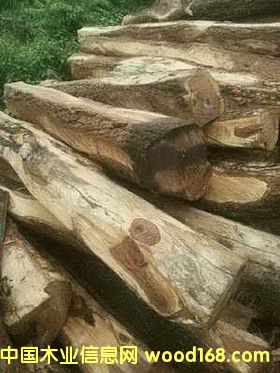 ���ށ������Ԕ��(x��)��B