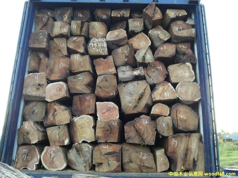 ���ށ������Ԕ��(x��)��B