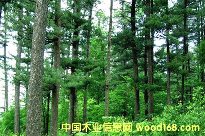 �c���鿴��Ҫ�������I(y��)�M�ڼҾ߈��P��z�����Ϻ��C�����P�е�Ԕ���Y��