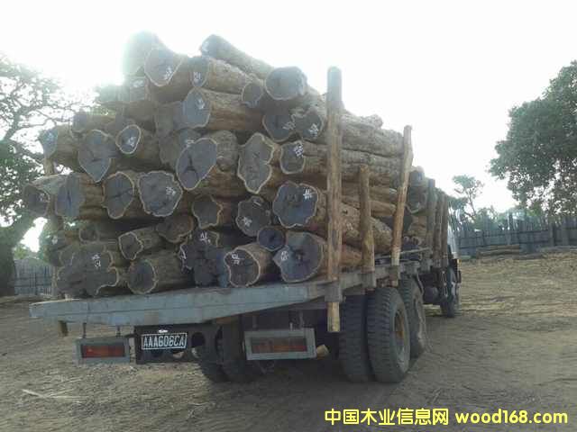 �Ϲ�̴���|�Ǻ��S̴����ľ��Ԕ����B