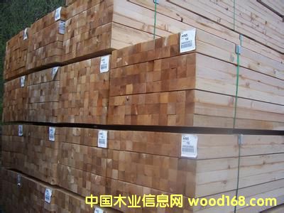 �Fɼ��Ԕ��(x��)��B