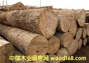 ����(y��ng)�tľ��������̴ľ��ԭľ