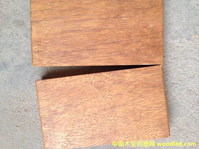 ɽ�����}��ľ��Ԕ��(x��)��B