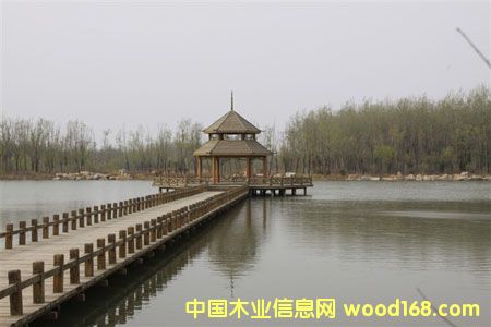 ̫ԭ����ľ����