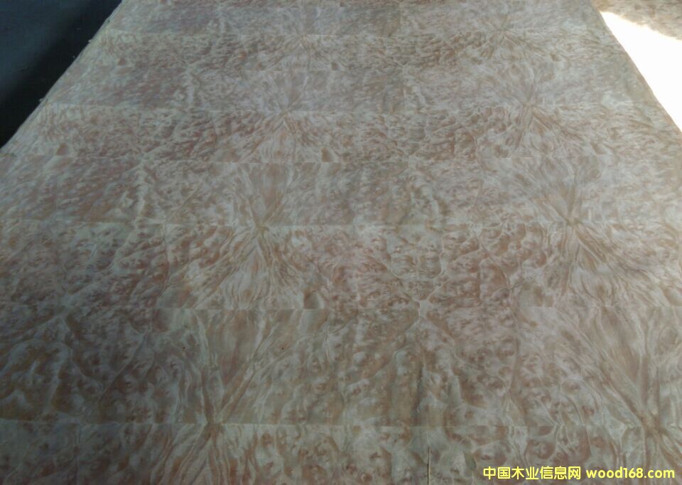 ɽ�����(sh��)��ţƤ����Ԕ��(x��)��B