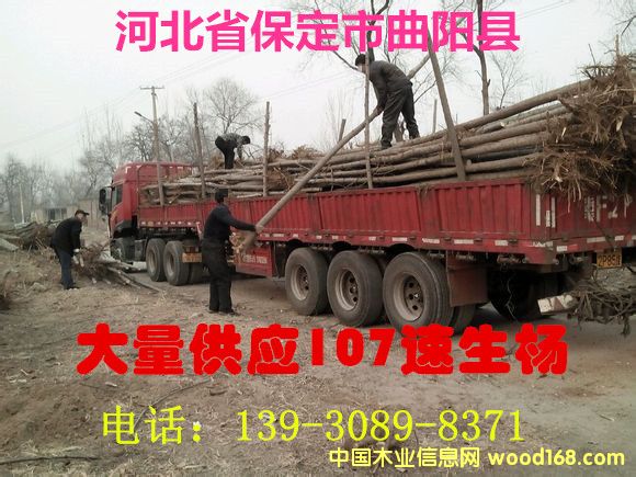 �c(di��n)���鿴107������Ŵ�DƬ