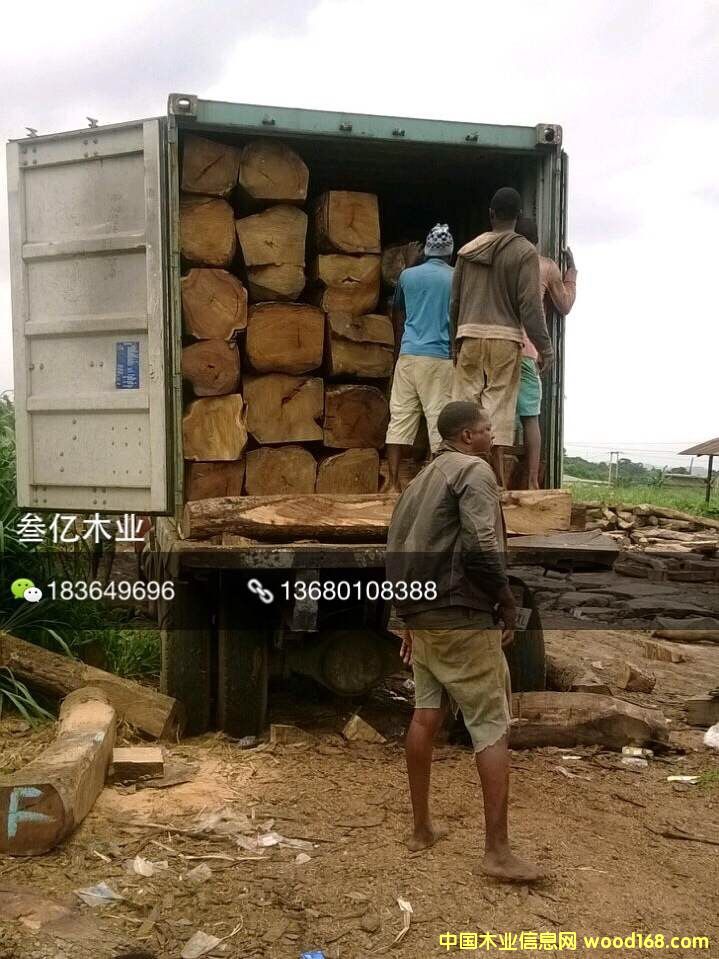 �����������S��Ԕ����B