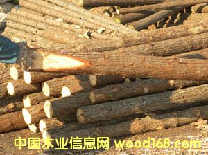 �o(h��)�̘����@��֧�ΗU��Ԕ��(x��)��B