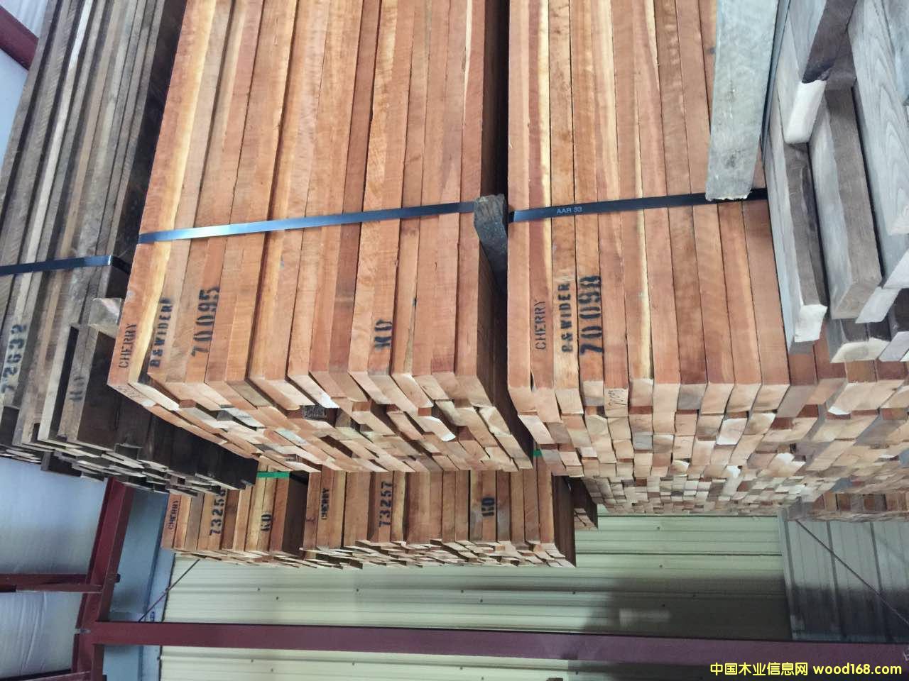 ��������ľ��Ԕ����B