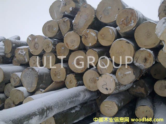 ��ľԭľ��Ԕ����B