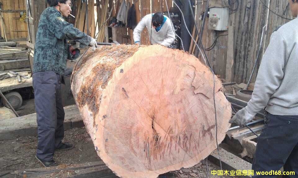 �S���ľ��Ԕ����B