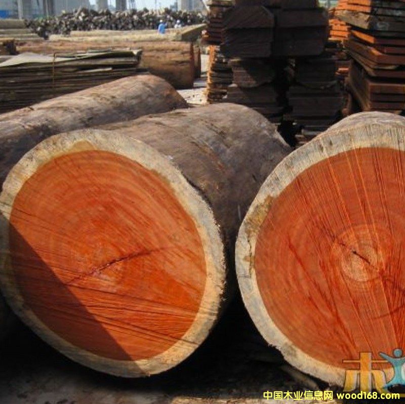 �t��������Ԕ����B