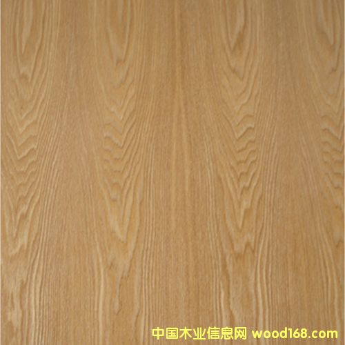 水曲柳的詳細介紹