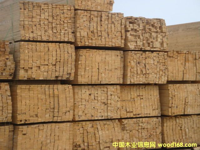 ����ľ�Ľ���ľ��