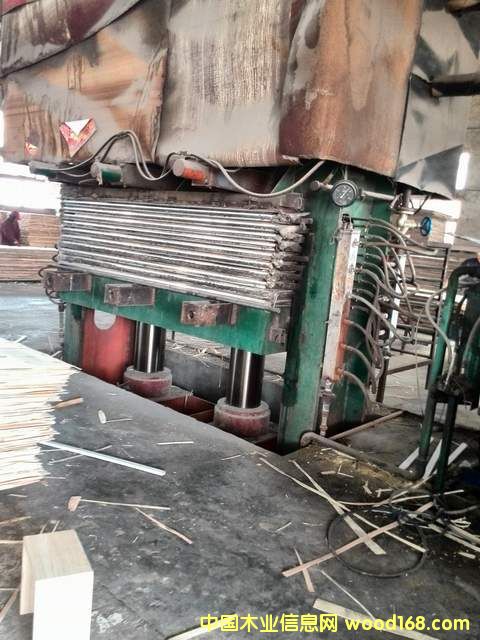 �ቺ�C��Ԕ����B