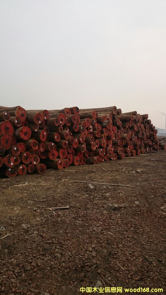 �����t����