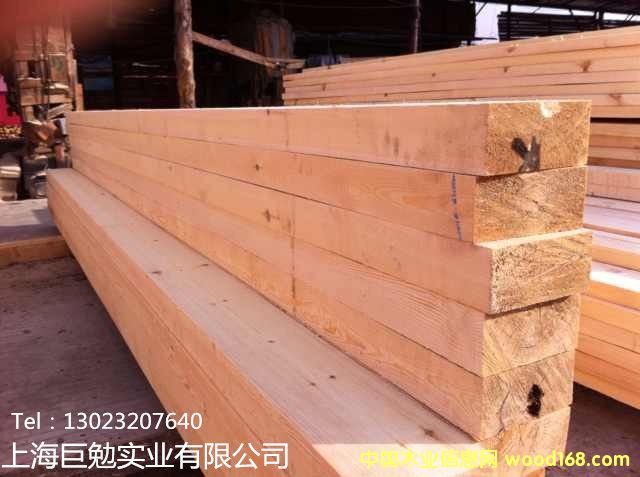 ��������ľ�r��