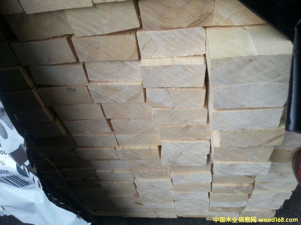 С��צ�ƶ��_˹��ɼ2