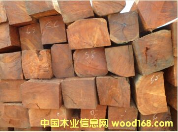 ����(���޲��}��