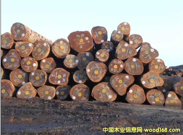 TIAMA�������ޗ�