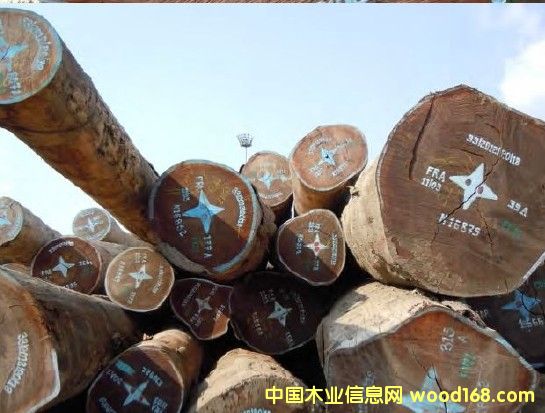 Sapelliɳ����