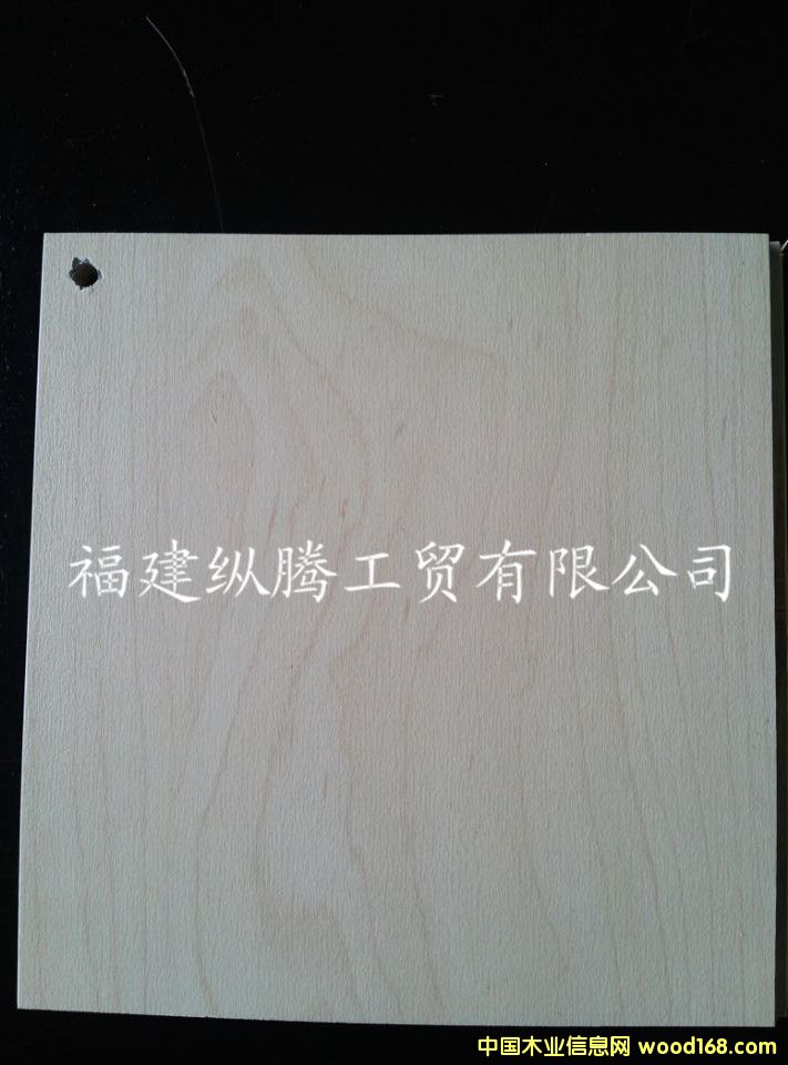 ��ľ�ͺϵذ�