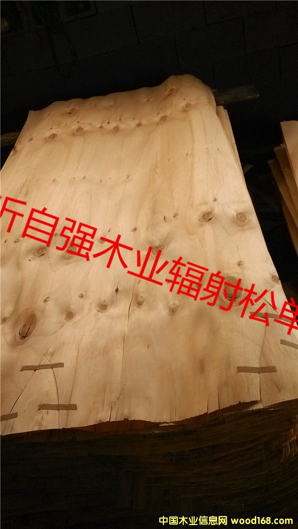 ݗ�����a(b��)Ƥ