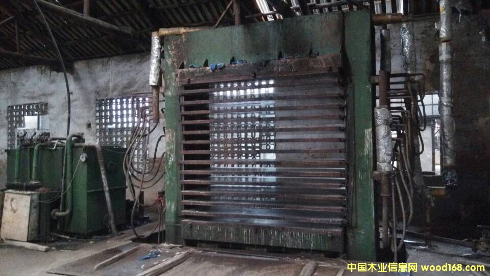 ʮ�Č�1200�����C.5