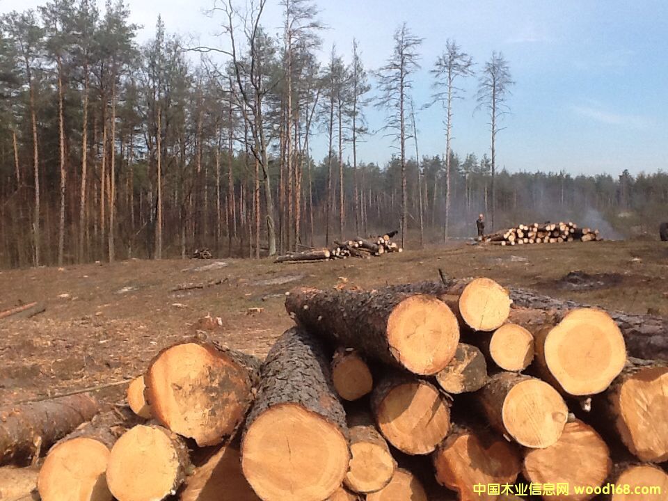 �����m��ɼ������������ľԭľ�����