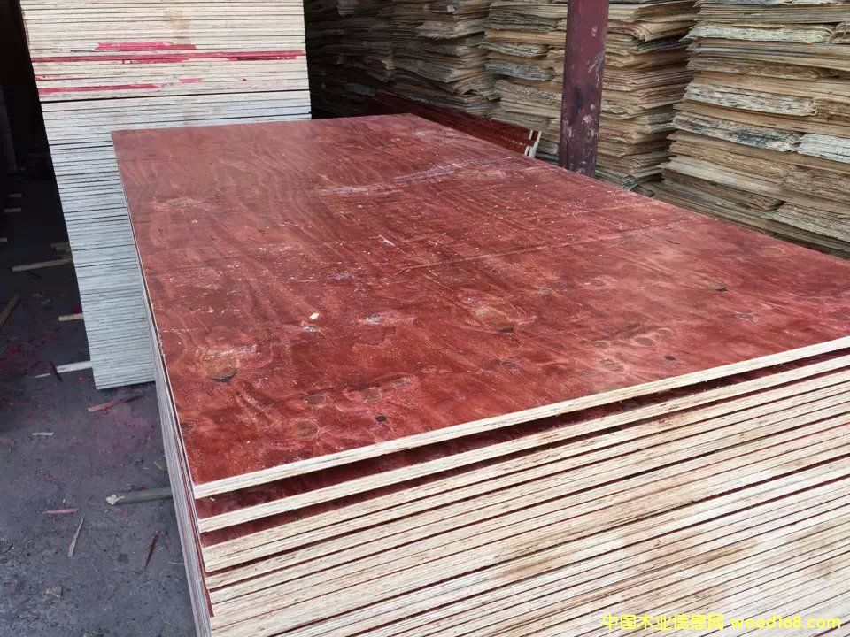 ��ľ����ģ��