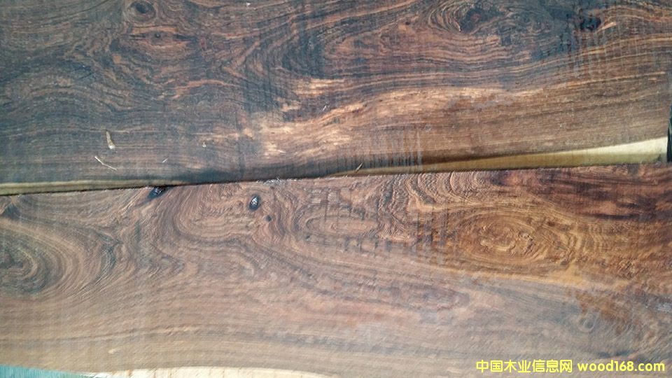 ţ��ľ����