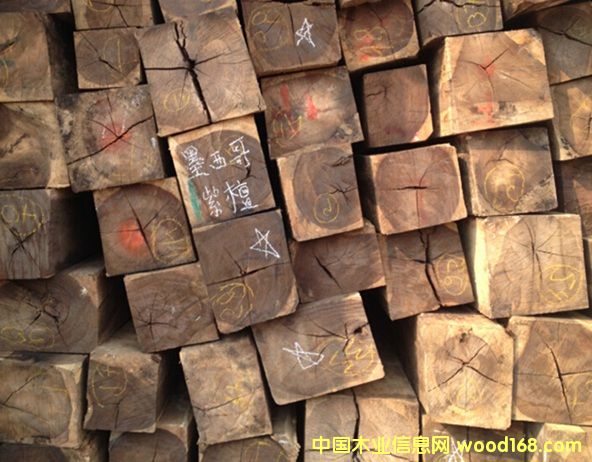 ī�������֦�Ĵ��Ј�������(y��u)��͹�@�l(f��)չ?ji��)��?><br>
                      <font size=3><b>ī�������֦�Ĵ��Ј�</b></font></a></div>
                  </td>
                </tr>
                 
              </table>
              
            </td>
          </tr>
          </tbody> 
        </table>
        <table border=0 cellspacing=0 cellpadding=0 width=