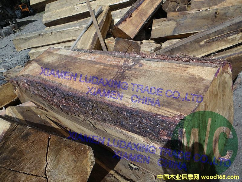 ����˼��3