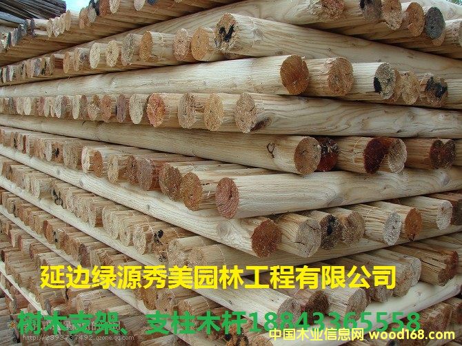 ��(sh��)ľ֧��ľ�U��Ԕ��(x��)��B