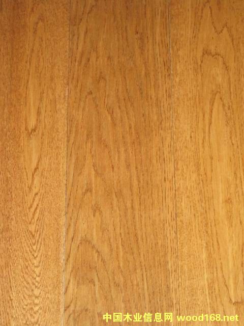 ������ľHLZ2018