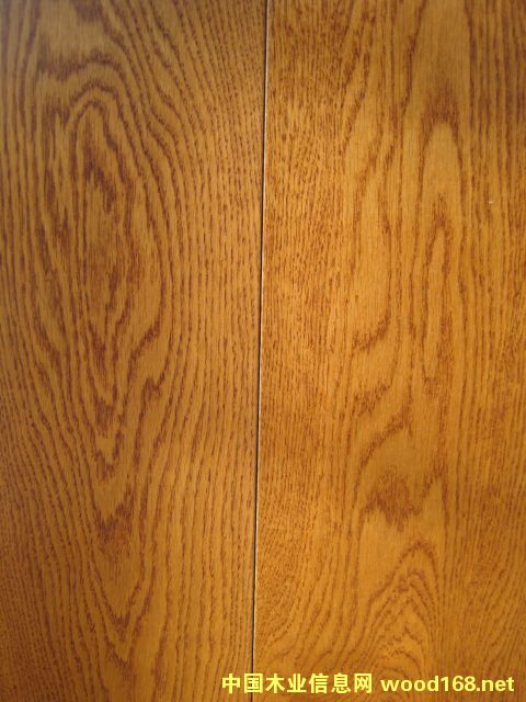 ��ɫ���AHLZ2017