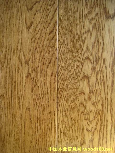 ��ɫ����HLZ2011