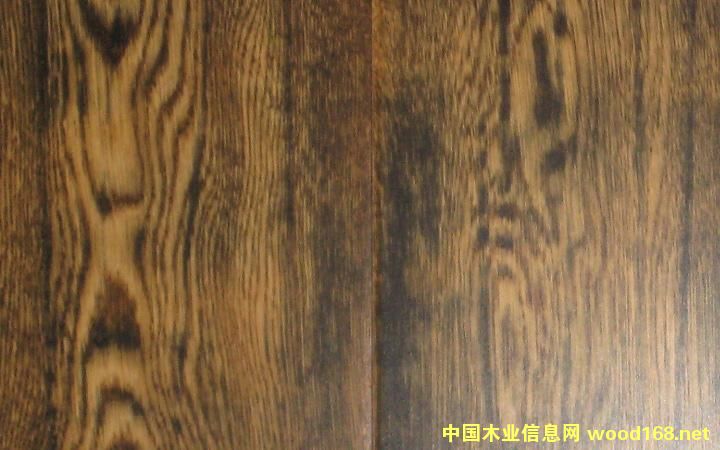 �Ї����������ű���6013