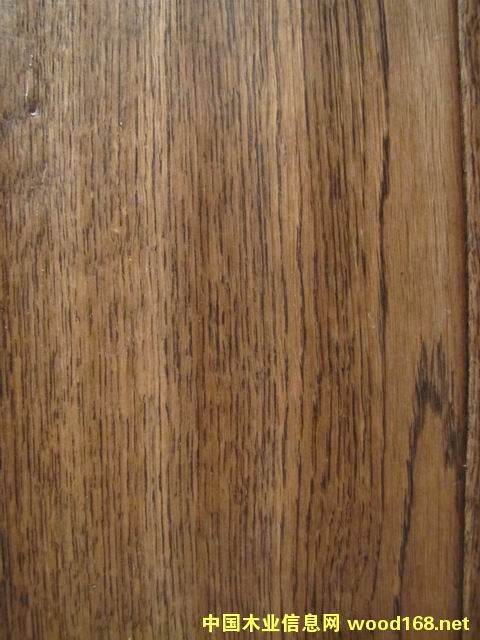 �_�R֮��HLZ2005��Ԕ��(x��)��B