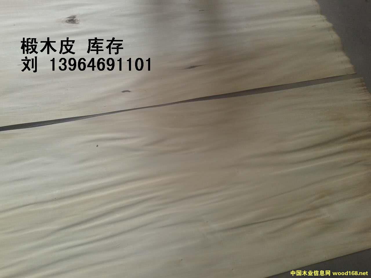 �ľƤ��Ԕ��(x��)��B