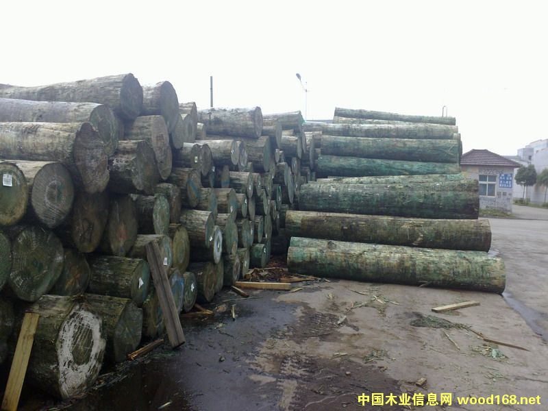 [��] ��ݗ���ɰ��ȫ��������