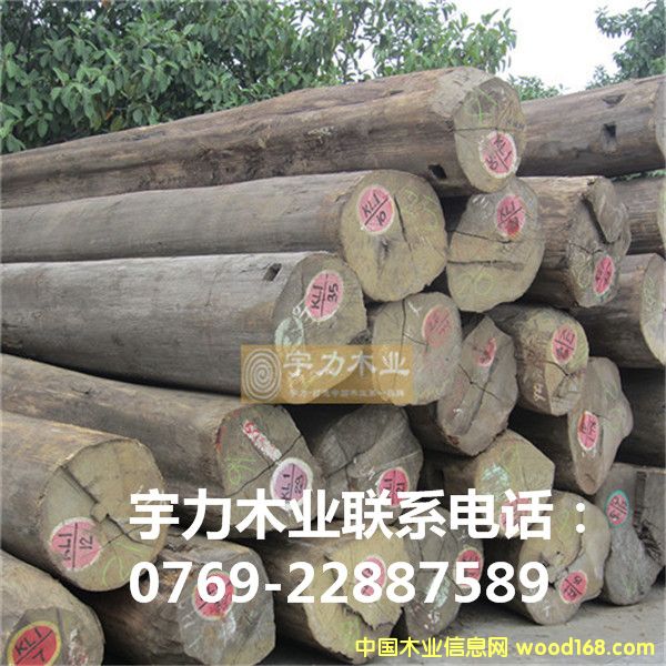 ������ľԭľ��Ԕ��(x��)��B