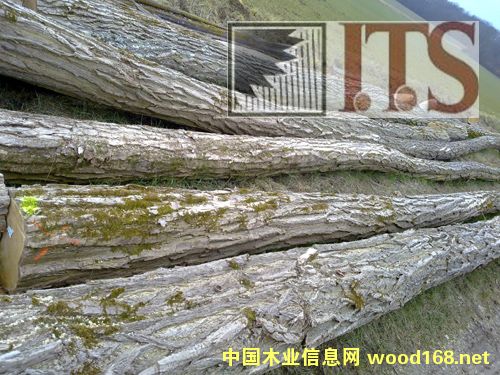 ��ľ���̻����󻱣���Ԕ��(x��)��B