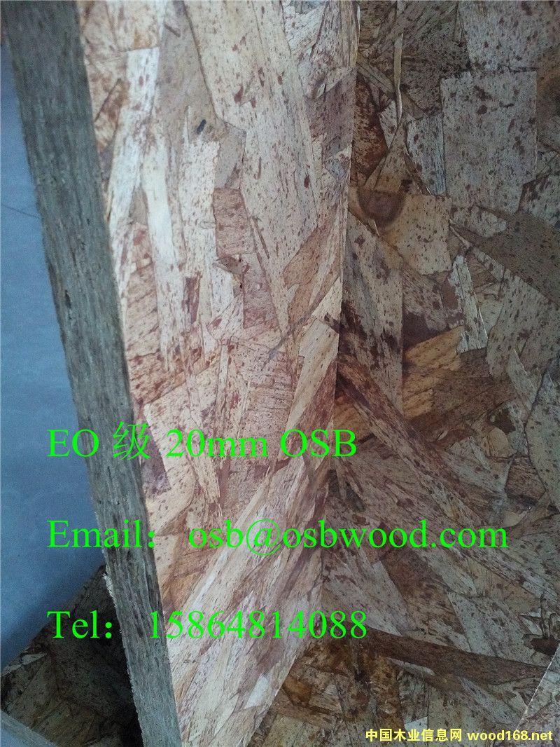 OSBľ�T���A�����r��