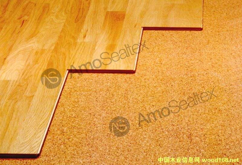 �ذ��·�������ܛľ�|