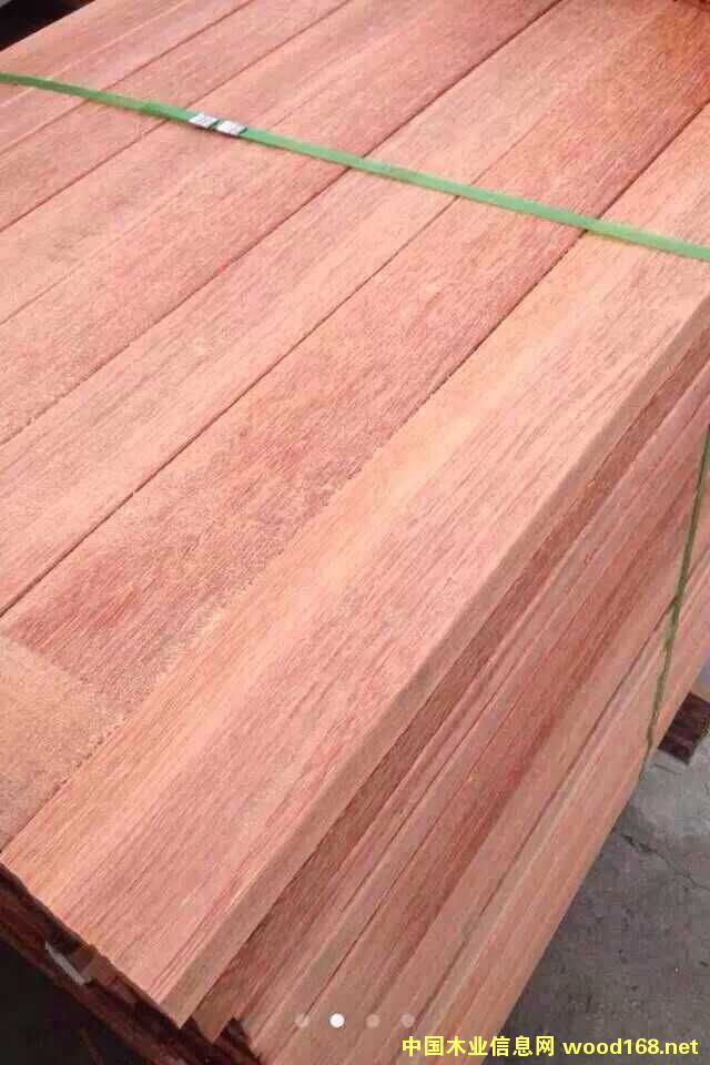 [��] �t��������˵�Ӳľ���t����ذ�