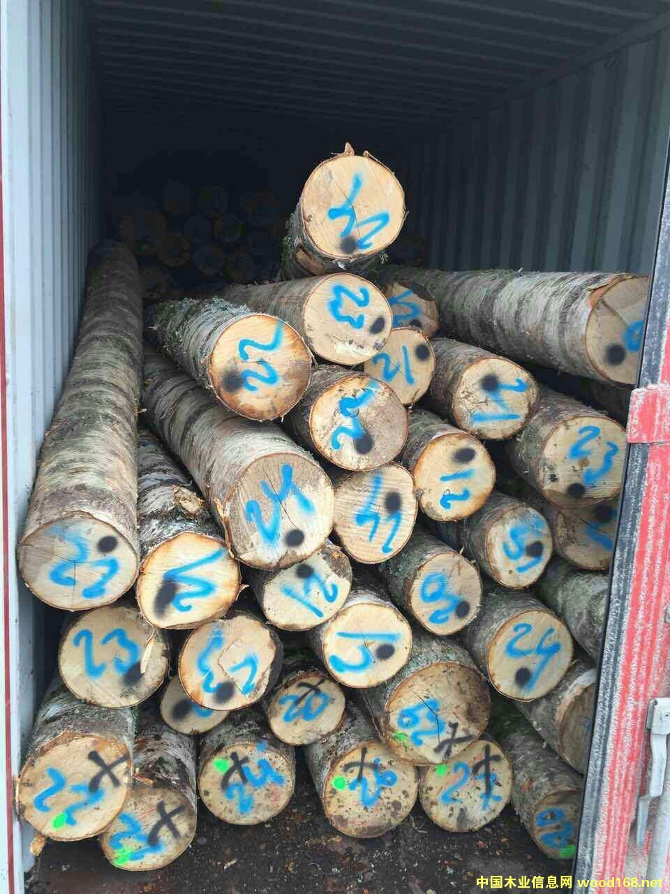 ��Ó�S����ľԭľ��Ԕ��(x��)��B