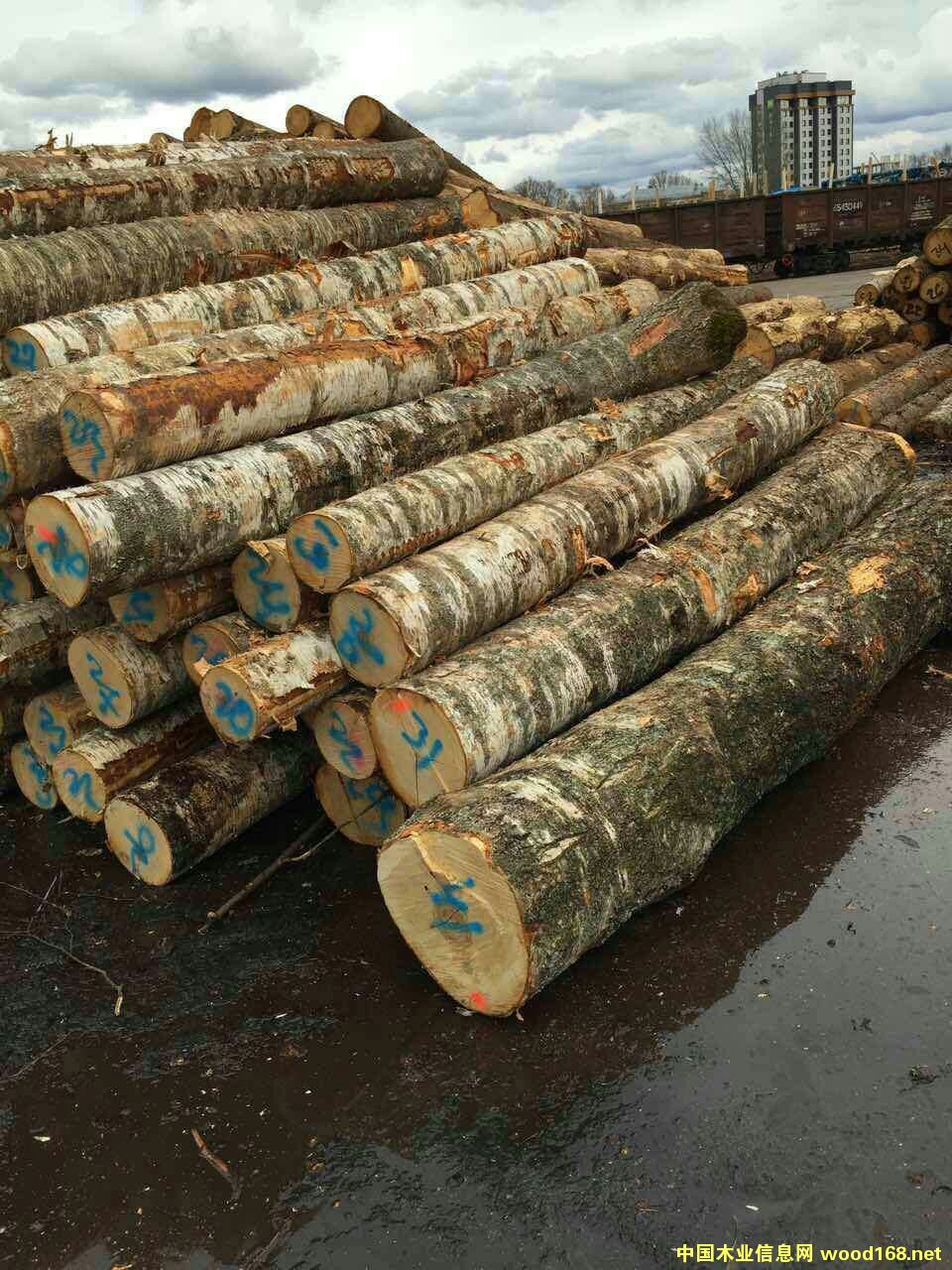 ��Ó�S����ľԭľ��Ԕ��(x��)��B